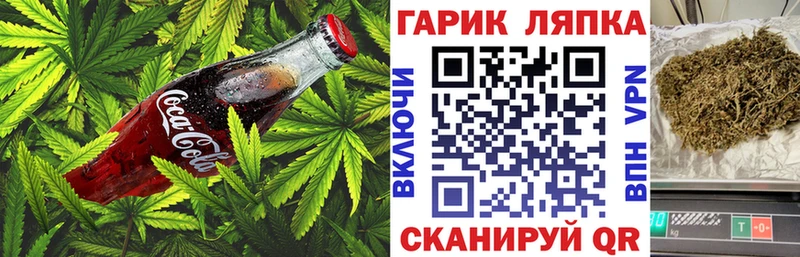 Canna-Cookies марихуана  цена наркотик  гидра зеркало  Новохопёрск 