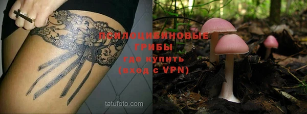 гидра Бронницы