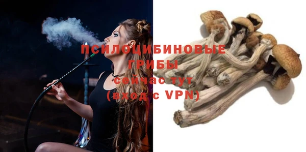 гидра Бронницы