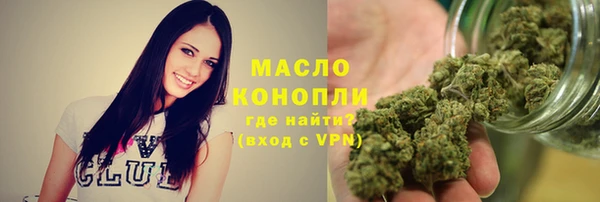 гидра Бронницы