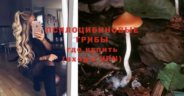 гидра Бронницы